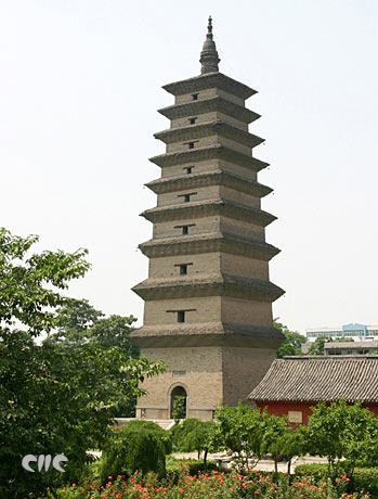 ��Ʒ������