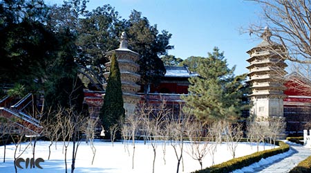 ��Ʒ������