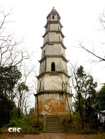 ��Ʒ������