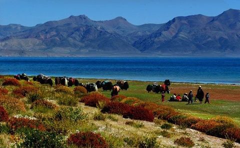 ��Ʒ������