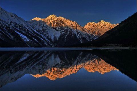 ��Ʒ������