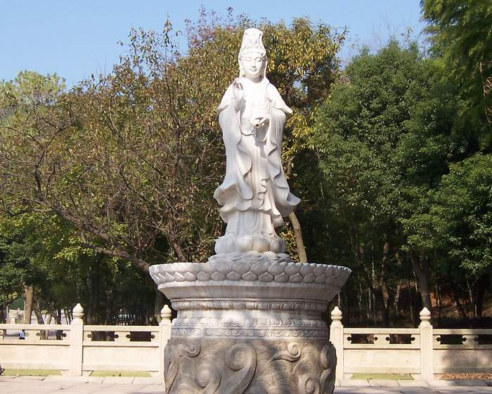 ��Ʒ������