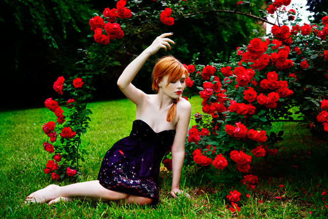 ��Ʒ������