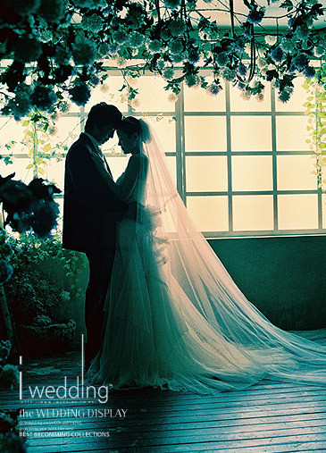 精品消费网 精品消费网