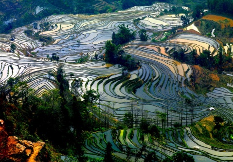 ��Ʒ������