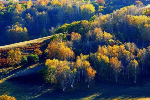 ��Ʒ������