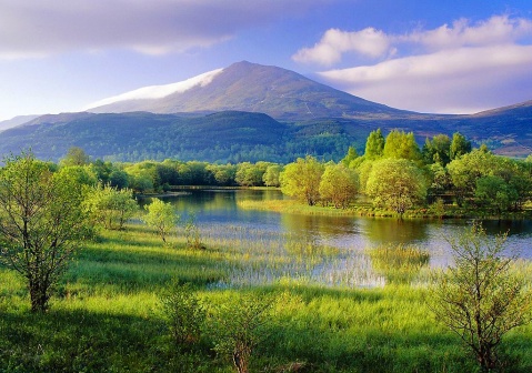 ��Ʒ������