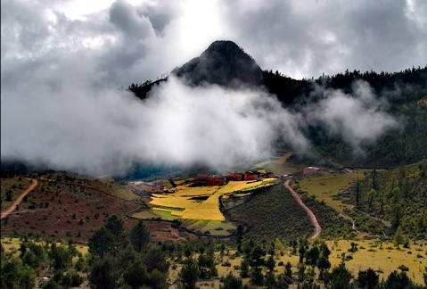 ��Ʒ������