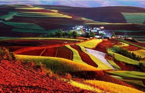 ��Ʒ������