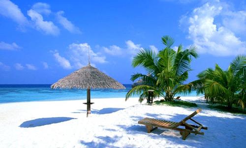 ��Ʒ������