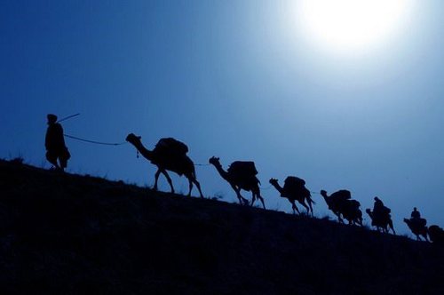 ��Ʒ������