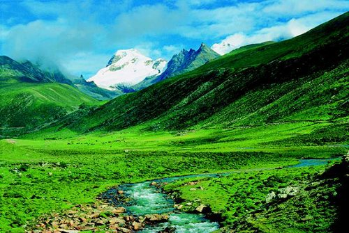 ��Ʒ������