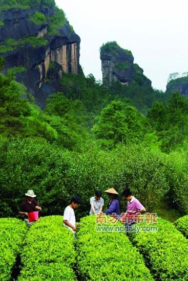 ���ڴ���N���淨 ���ܲ�һ���ķ羰����ζ(ͼ)