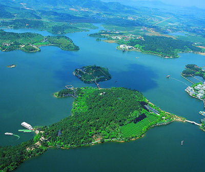 ��Ʒ������