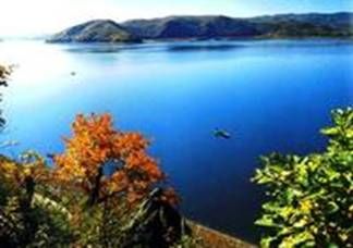 ��Ʒ������