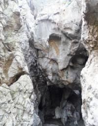 ��Ʒ������