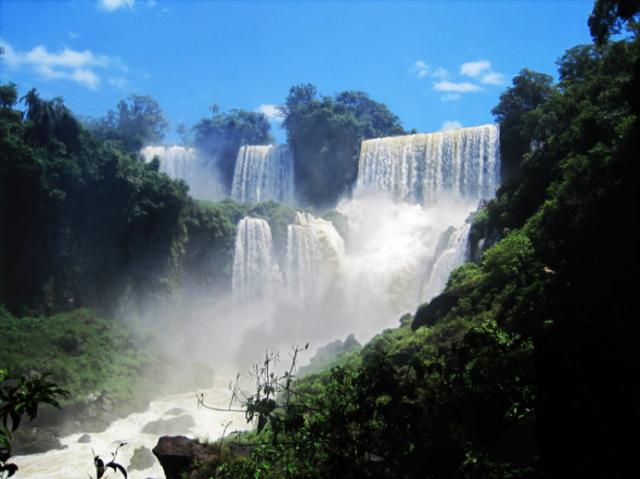 ��Ʒ������