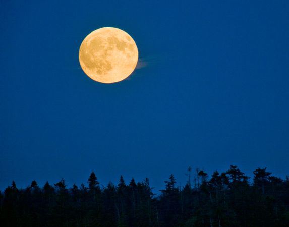 ��Ʒ������""