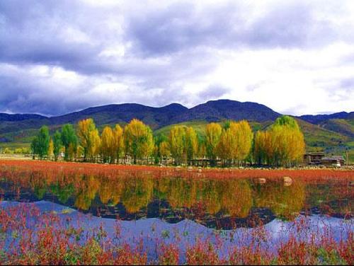 �Ĵ�����