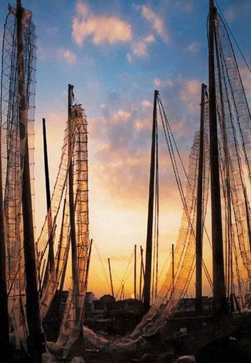 ����̫��