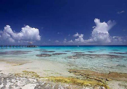 No.4���������������� ��������