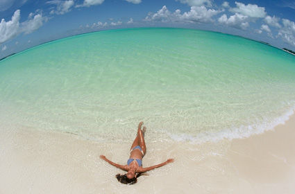 ��Ʒ������