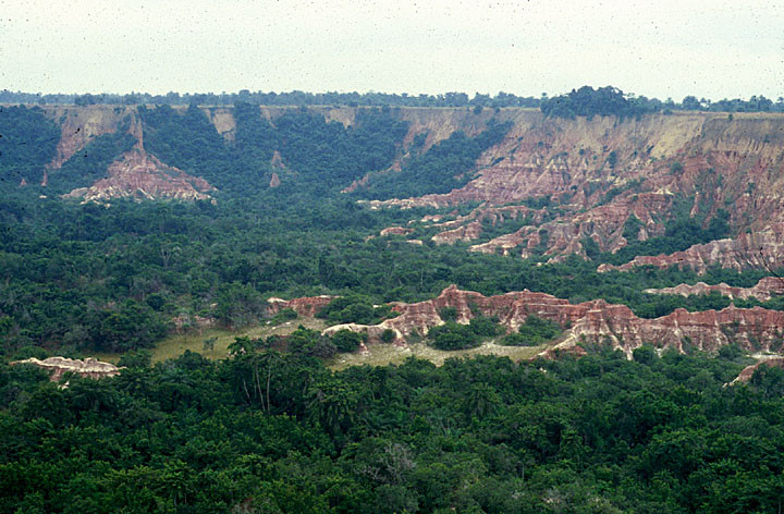 ����������������׶������׸�����ͼƬ - wuwei1101 - ������Ĳ���