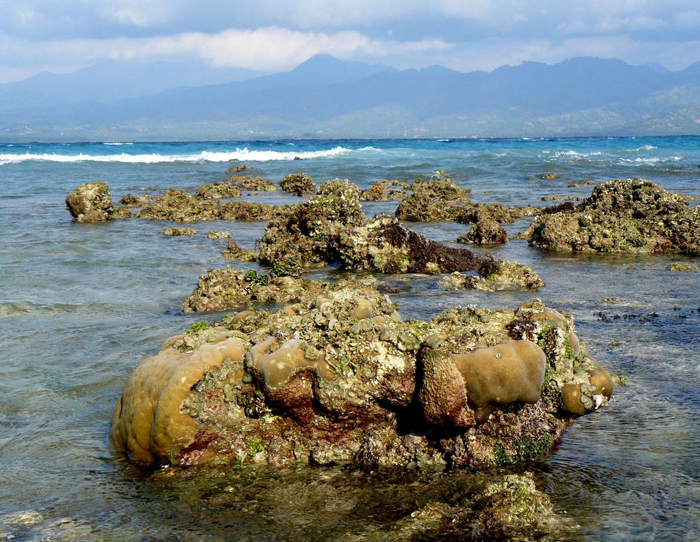 ��Ʒ������