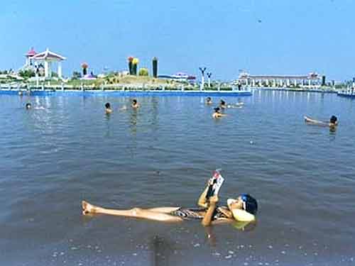 ��Ʒ������