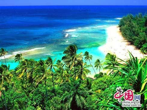 ��Ʒ������