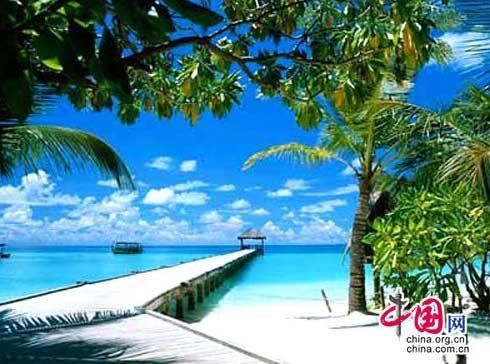 ��Ʒ������