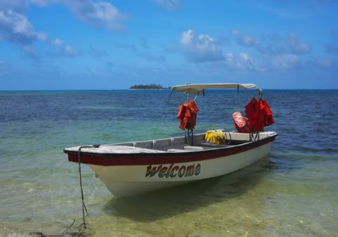 ��Ʒ������