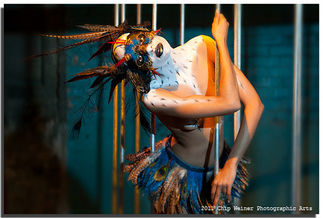 Miss Kaze in Birdcage cwpa