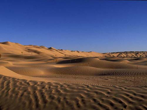 ������ɳĮ