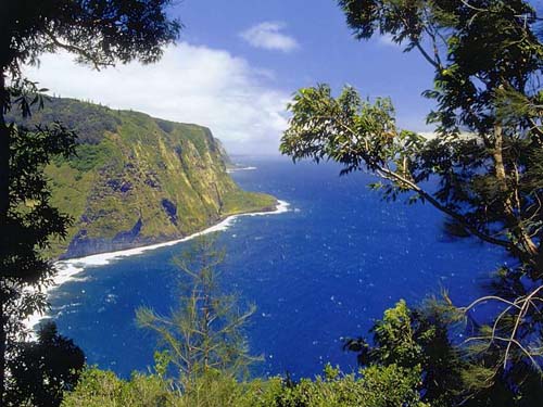 �����Ļĵ�