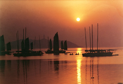 ��Ʒ������