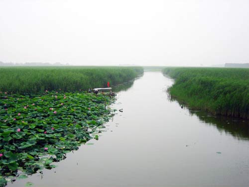 ��Ʒ������