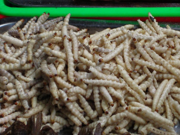 ��Ʒ������