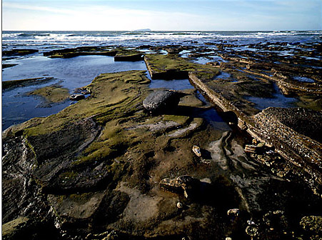 ��Ʒ������