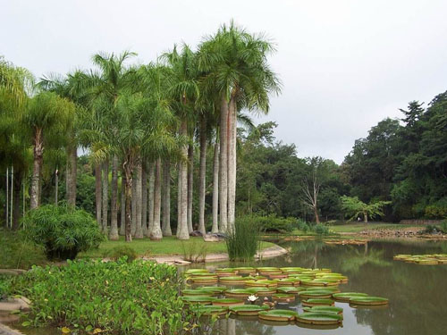 ��Ʒ������