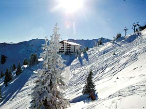 ��Ʒ������