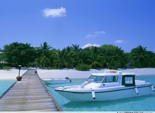 ��Ʒ������