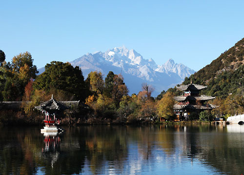 ��Ʒ������