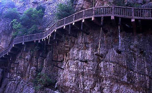 ��Ʒ������