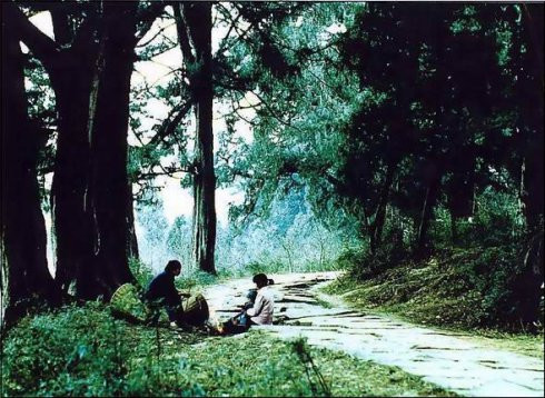 ��Ʒ������