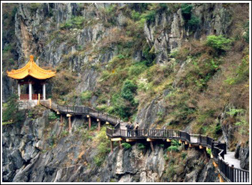 ��Ʒ������