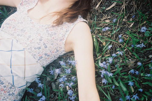 ���������� - �ʣɣͣͣ�  �̣� - ��