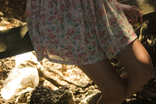 ���������� - �ʣɣͣͣ�  �̣� - ��