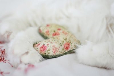 ���������� - �ʣɣͣͣ�  �̣� - ��