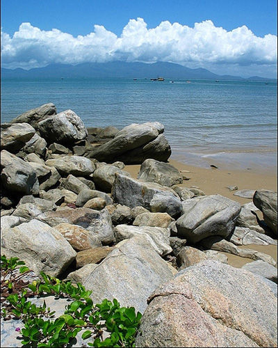 ��Ʒ������